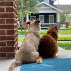 Meet your Posher, Marlo